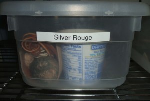 jewelry buffing station 6 shoe box label storage buffs